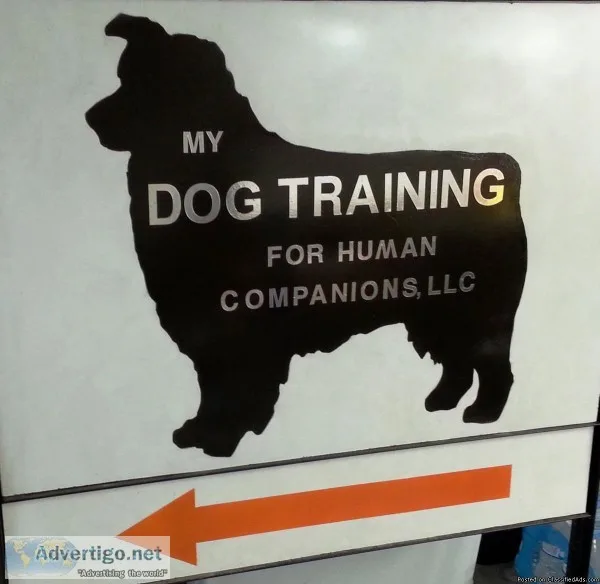 Basic Dog Training Obedience Manners Socialization