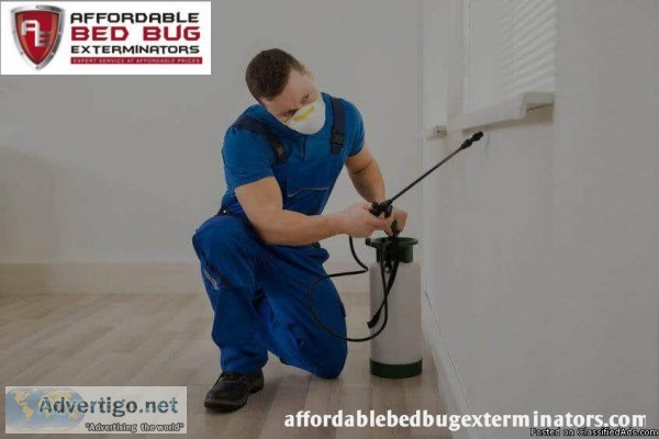 Use Best Bed Bug Exterminator Services at afforable cost