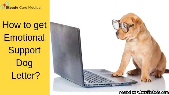 How to get Emotional Support Dog Letter