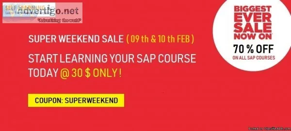 FEW Hours SUPER WEEKEND SALE - LEARN ANY SAP COURSE  30 