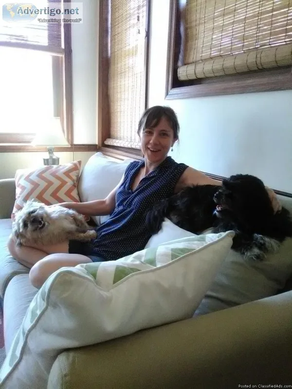 Pet-sitting and dog walking