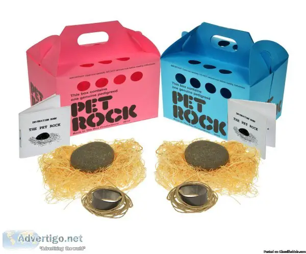 A Gag gift for everyone loves. Pet Rocks are back 