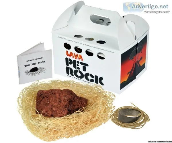 Pet Rocks from the 1970s and all sorts of Original things.