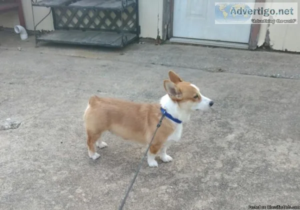 Looking for owner