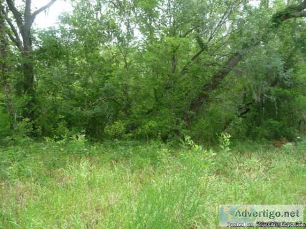 Lot near FM 521-Rosharon