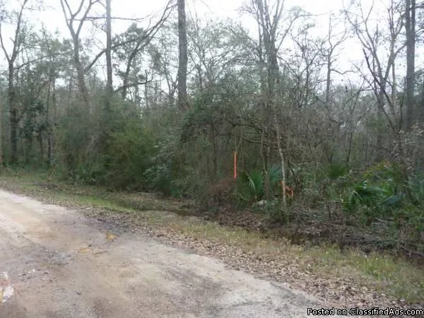 Lot near HWY 105-FM 1314-over 30000 sq.ft.