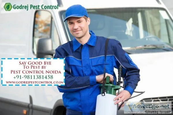 Hire Pest Control Delhi Team  91-9811381458
