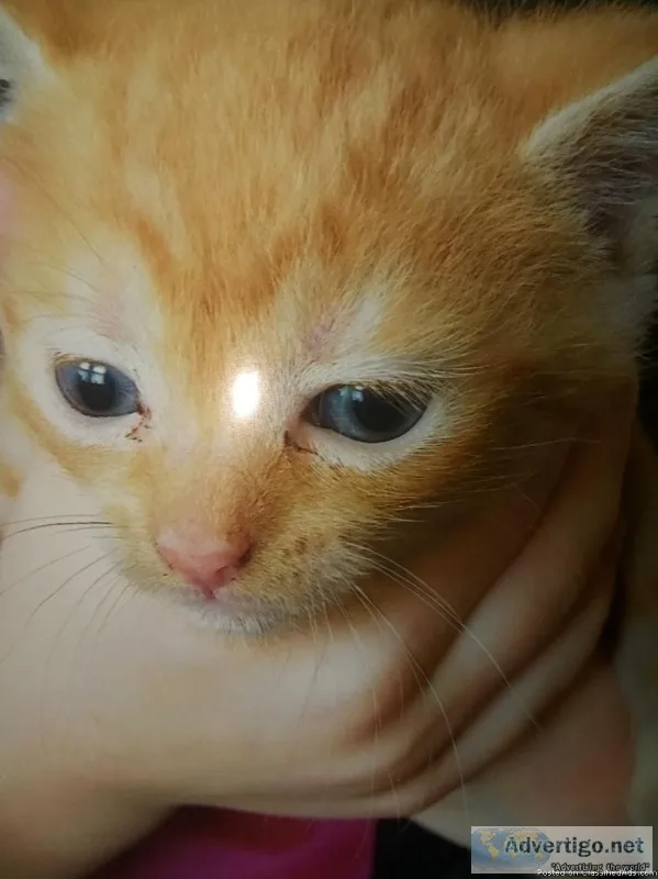 She s a baby