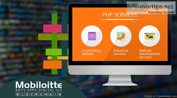 Need a php developer who can helop you in web development