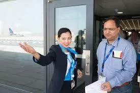 Airline Ground Handling StaffCargo