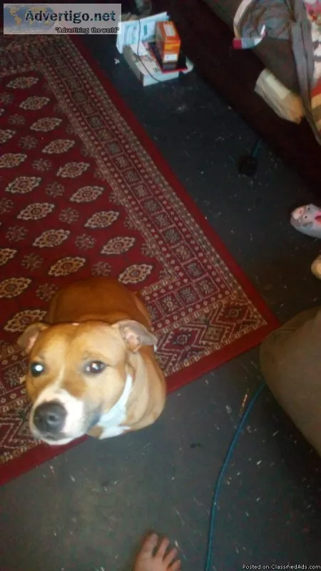 In need of loving home