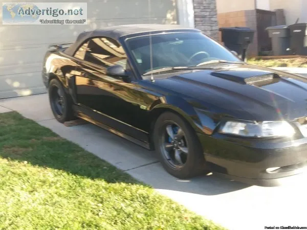 2001 mustang gt