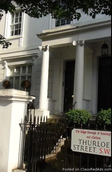 Looking For Chiropractor in Belgravia