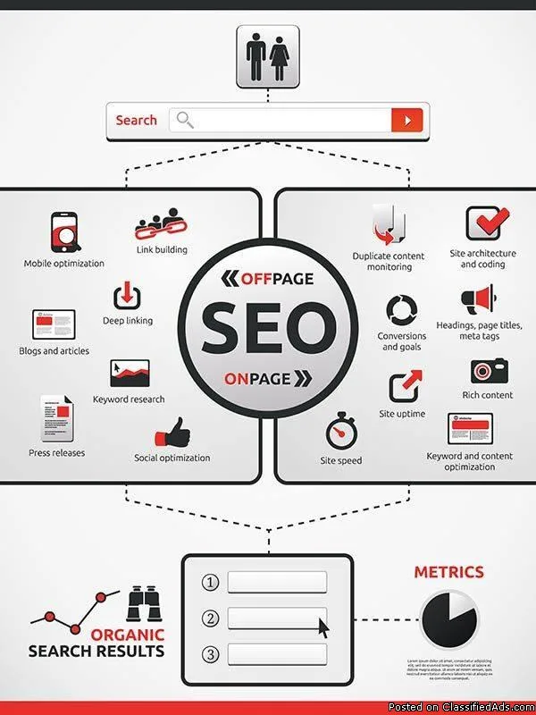 Top Web Designing services Offering Company Seolizards