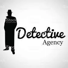 Private Detective in Delhi  confidential detective