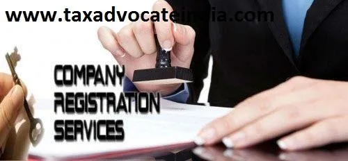 Professional Company Formation Service in Delhi