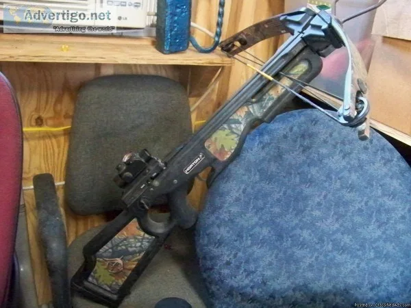 norton compound bow and arrows