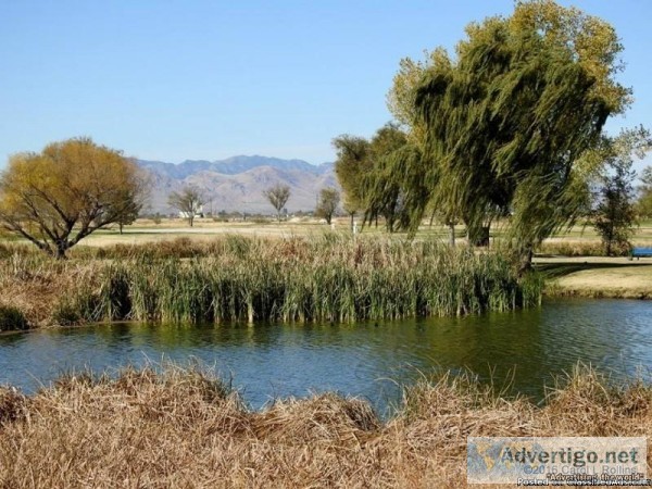 Land for Sale in Wilcox AZ