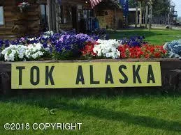 10 ACRES AVAILABLE IN TOK