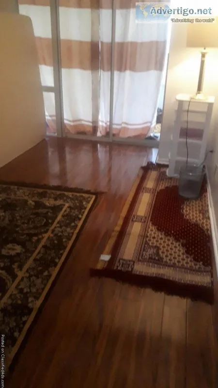 ROOMMATE NEED TO SHARE MY PENTHOUSE CONDO