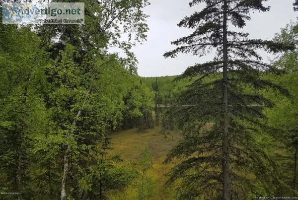 TWO LOTS BEING SOLD TOGETHER IN BIG LAKE
