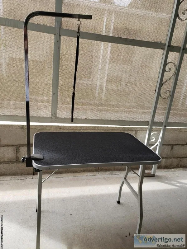 Pet Grooming Table