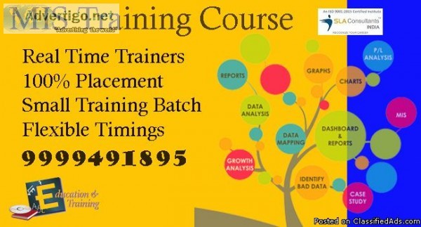 Join Best MIS Training Institute in Delhi with Expert Trainers