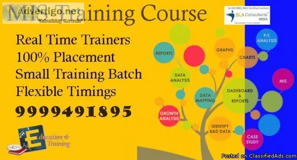 Join Best MIS Training Institute in Delhi with Expert Trainers