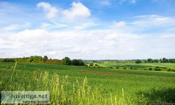 9.85 Acres Highway 2 Commercial (Gasoline Alley)