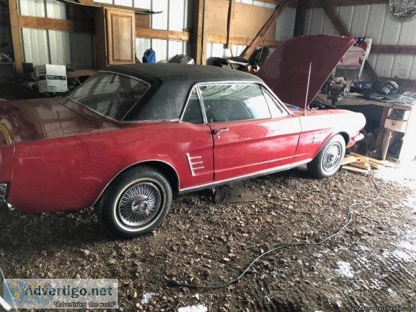 1966 FORD MUSTANG V-8