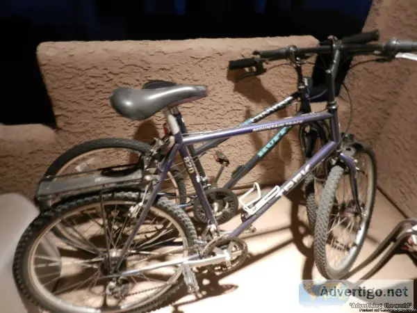 Pair of mens and womens Mountain Bikes