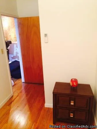 i need a roommate