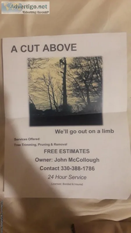 Tree Work and Removal