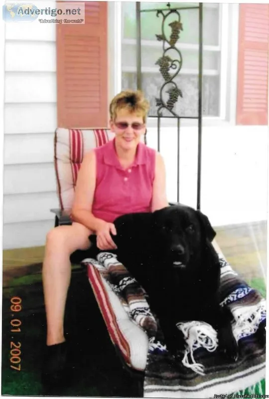 Paws Dog  Sitting Service