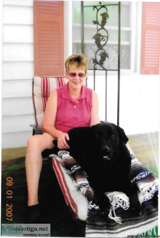 Paws Dog Sitting Services