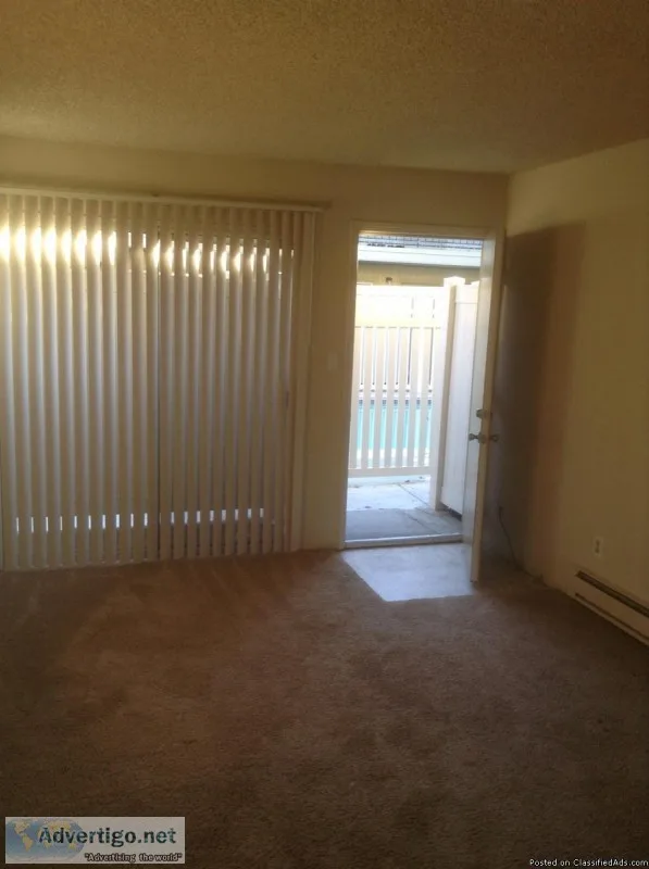 Large 1br 1 ba
