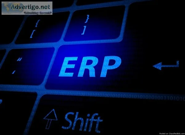 Seeking NetSuite ERP India Hire Us