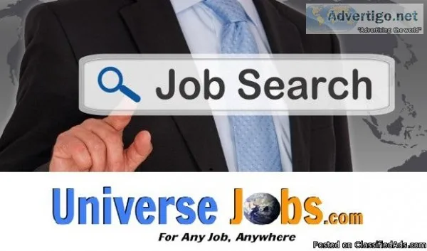 Marketing  Sales - Executive