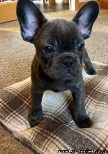 3250 studio in Midtown-West