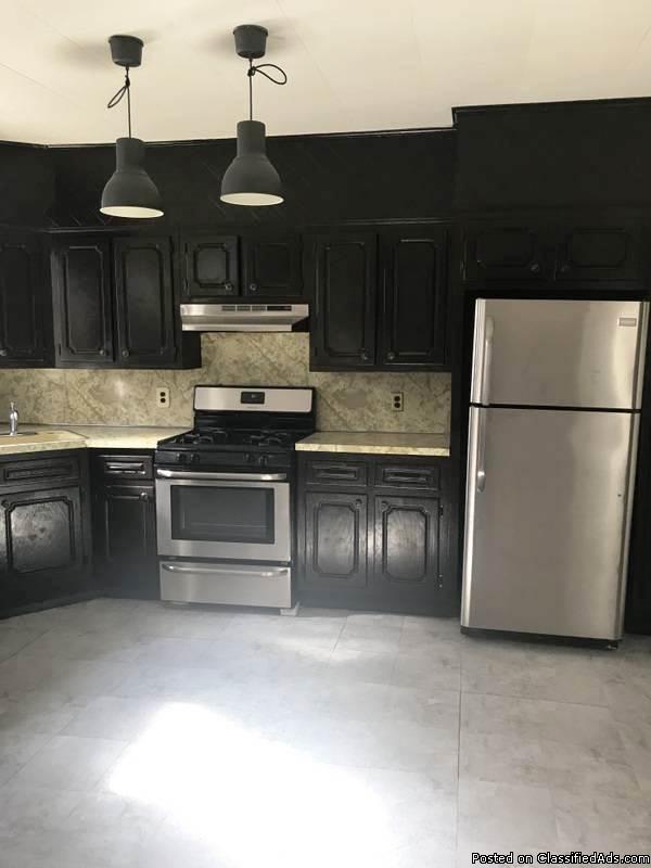 Newly Renovated 2 Bedroom Apt.  - Bay Ridge