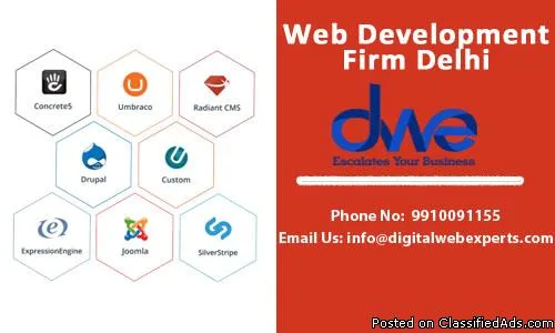 Web Development Firm Delhi