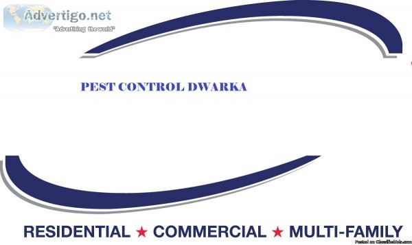 Best Services Provide Pest Control in Dwarka