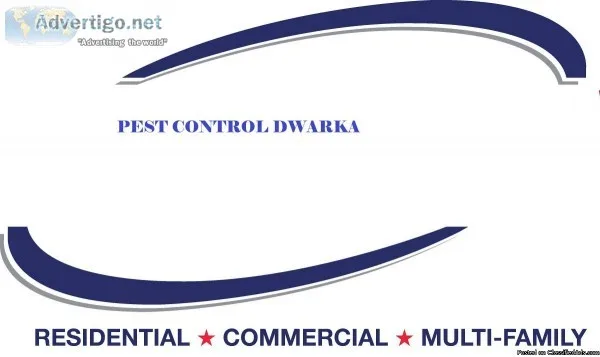 Best Services Provide Pest Control in Dwarka