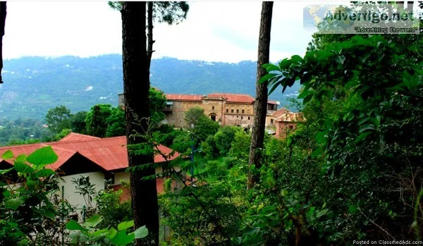 Have a luxurious stay at the Best resorts in Kasauli