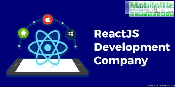 reactjs development company in india