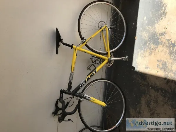 Giant TCR Road bike