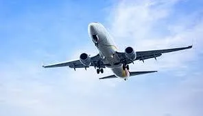 Domestic Airport Are Hiring For Pan India Basic...