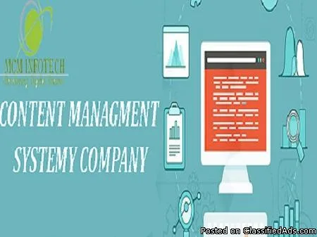 Best CMS Website services are Provided by MCM Infotech
