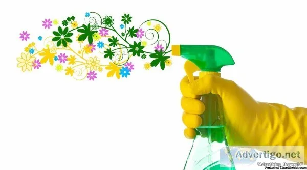 Nature s Favorite Cleaning Service
