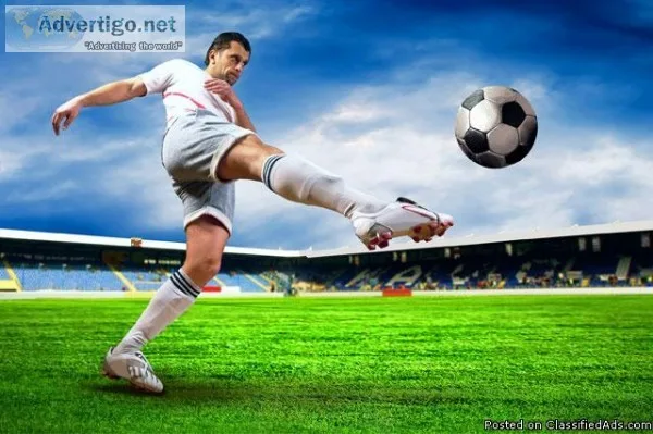 Top Colleges For Sports Management
